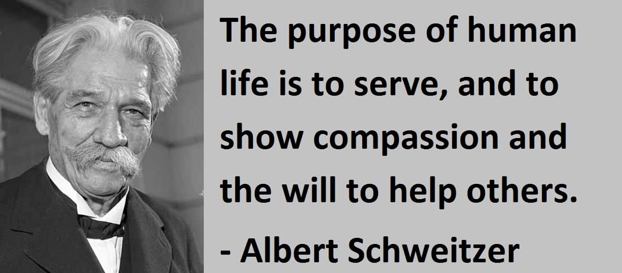 Read more about the article Albert Schweitzer Quotes