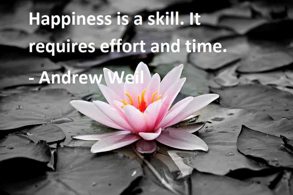 Read more about the article Andrew Weil Quotes