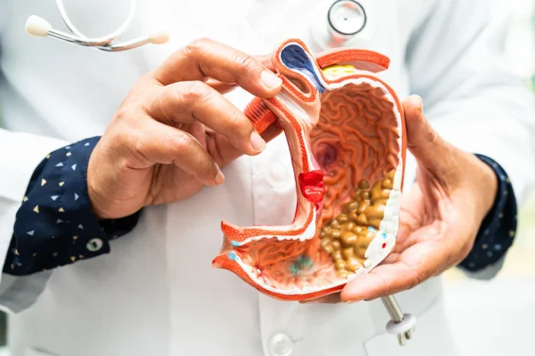 Read more about the article Navigating the Gut: A Professional Exploration of the Gastrointestinal Tract, Probiotics, and Gut Microbiota