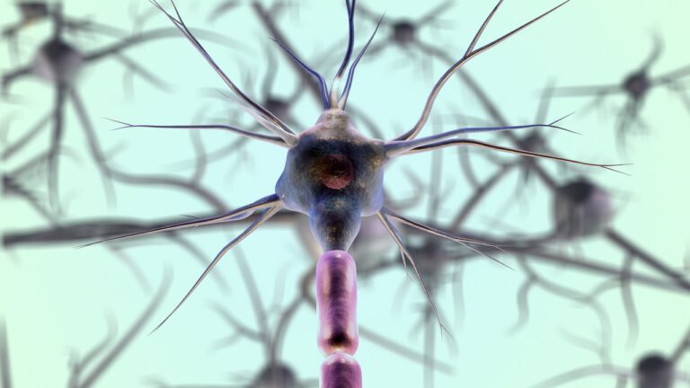 Read more about the article Understanding Motor Neuron Disease: Key Factors, Challenges, and Considerations